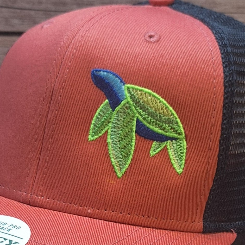 Red and blue cap with a green and blue embroidered design on a wooden surface