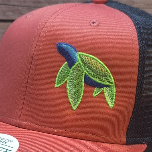 Red and blue cap with a green and blue embroidered design on a wooden surface