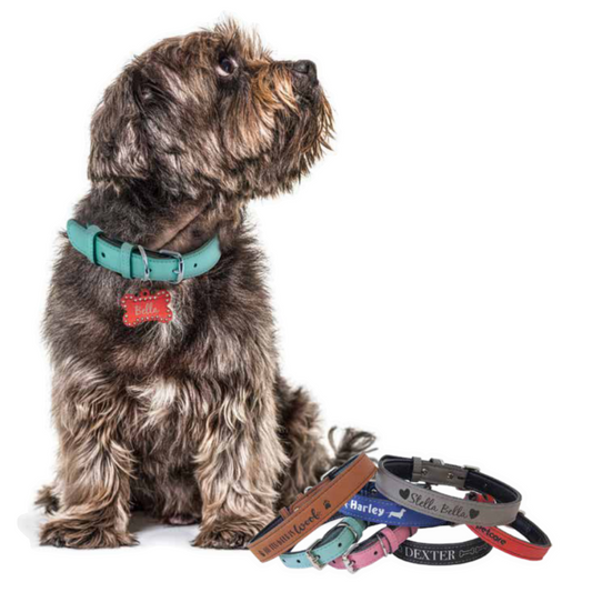 Custom Engraved Leather Pet Collar | Personalized Dog & Cat ID Nameplate | Multiple Sizes & Colors | Durable Adjustable Pet Collar
