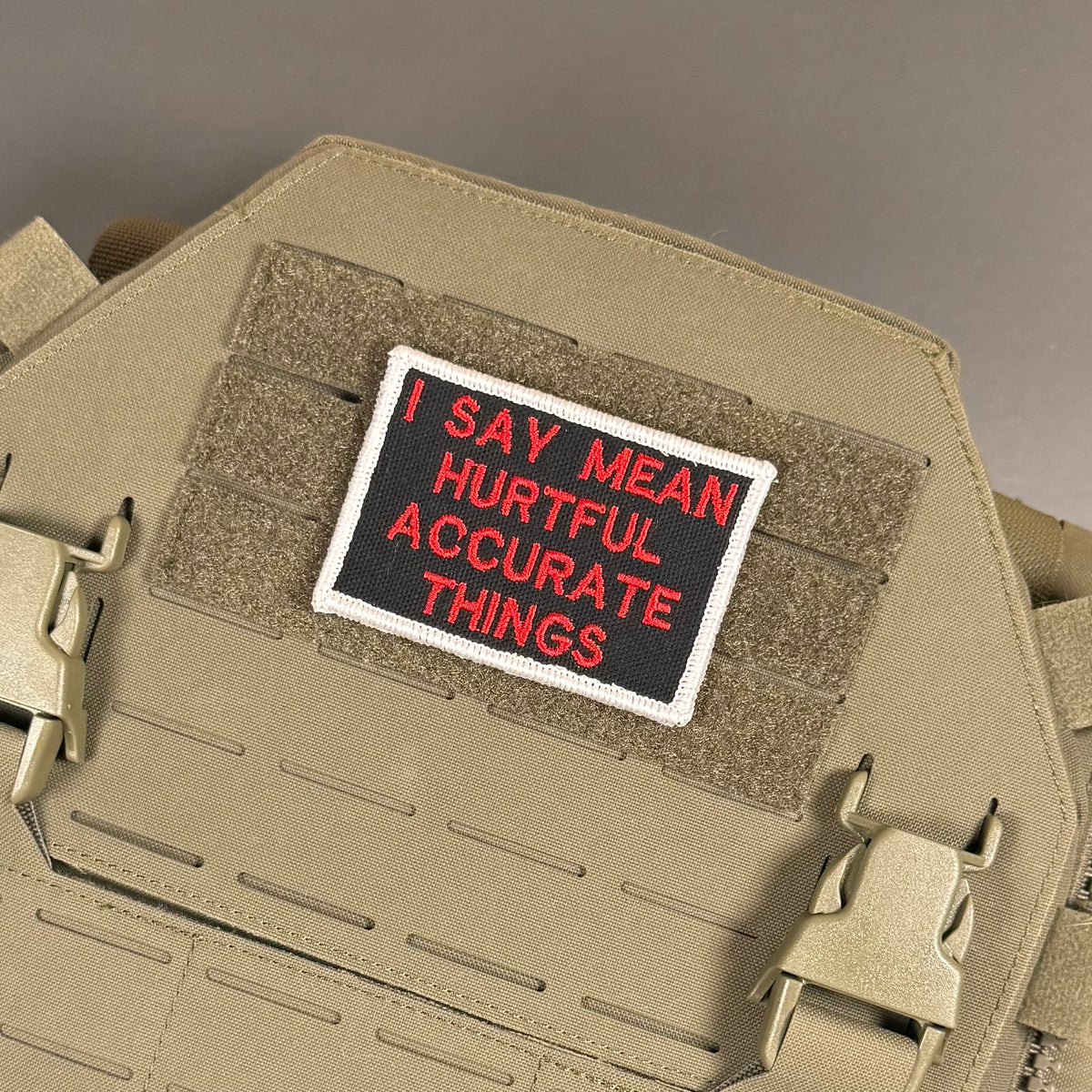 A rectangular embroidered patch with red text reading 'I SAY MEAN HURTFUL ACCURATE THINGS' on a black background with a white border, attached to tan tactical gear with Velcro and buckles.