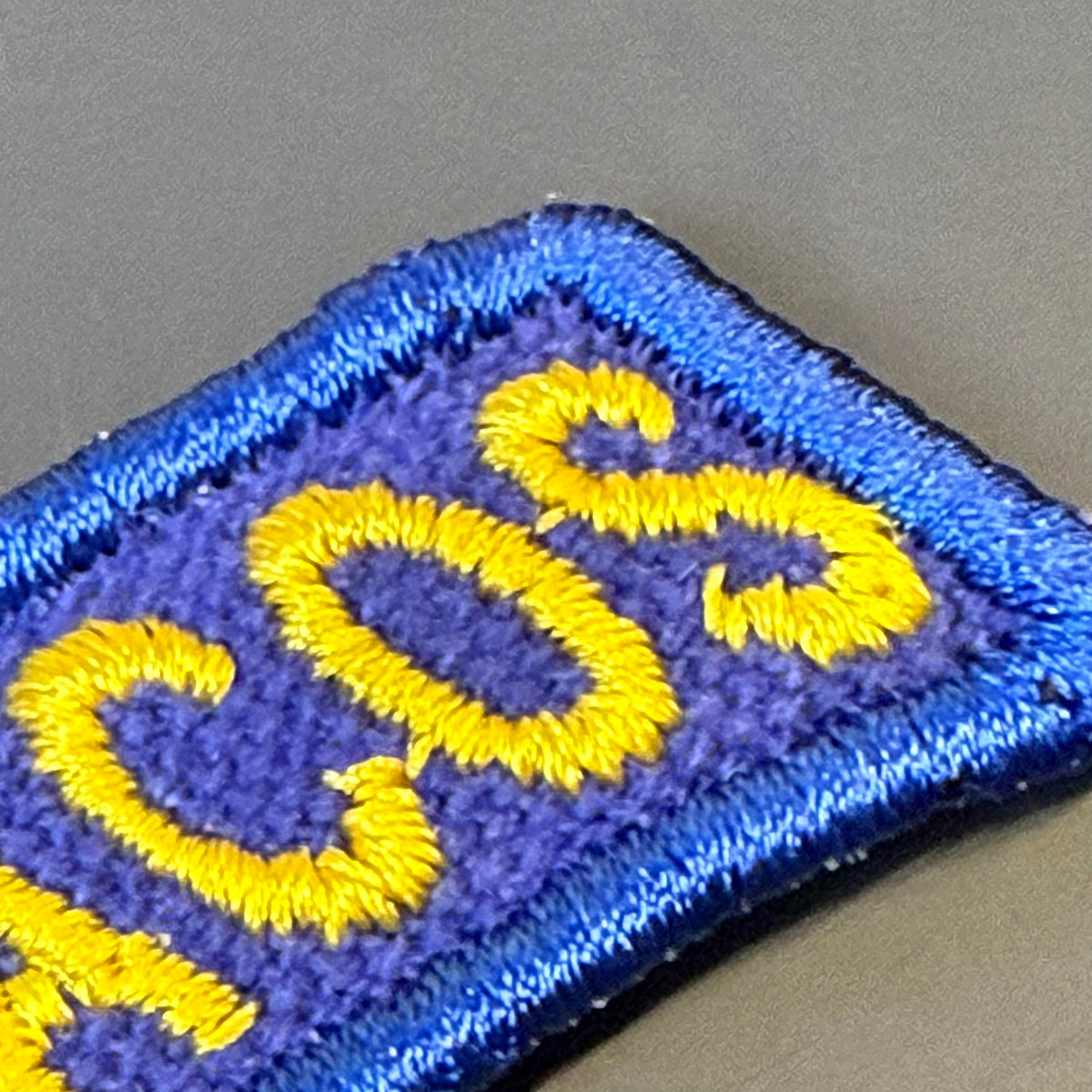 Army Regular Forces Funny Morale Patch Tab embroidered morale patch: with a blue border and yellow lettering on a purple background, photographed on a neutral gray surface.