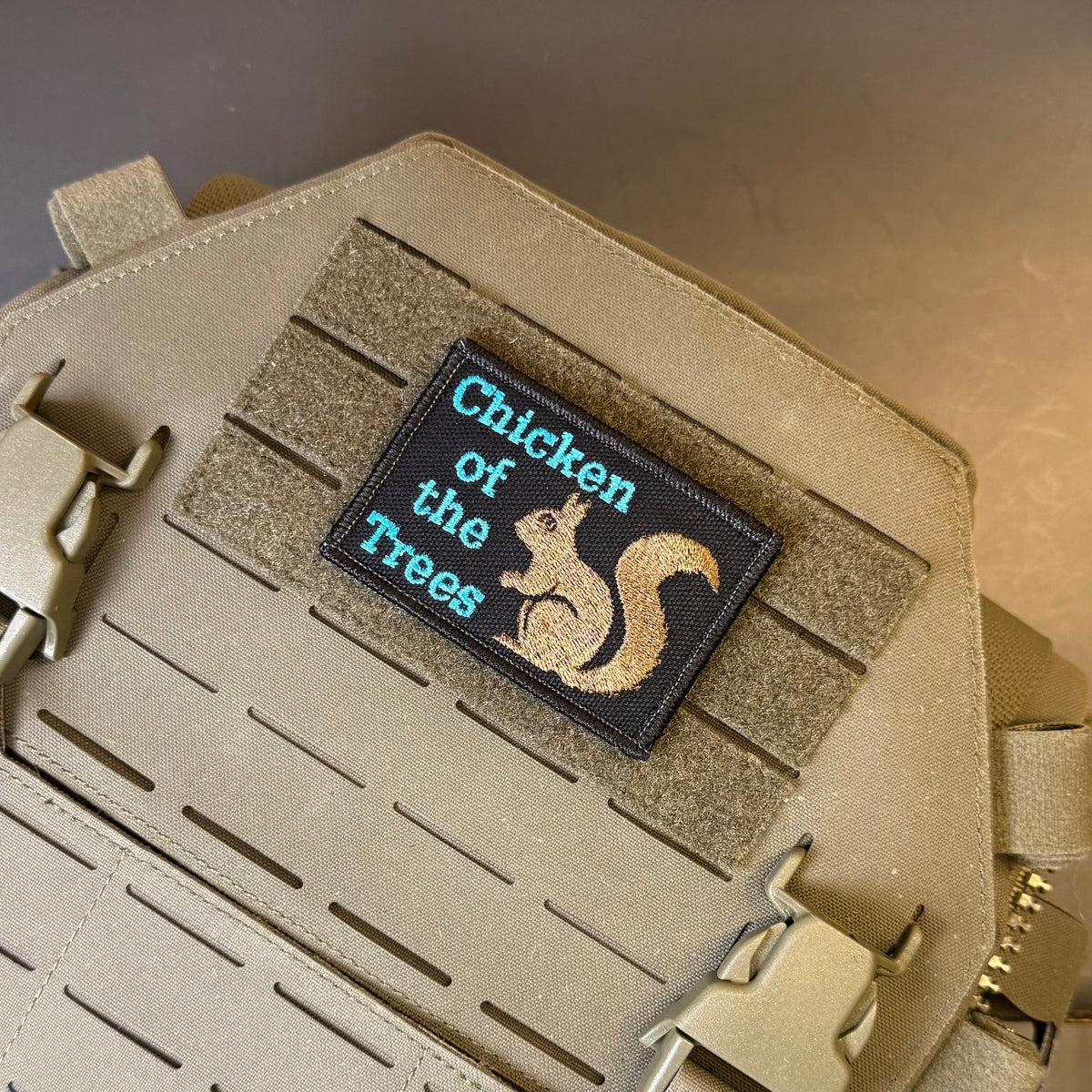 Squirrel, Chicken of the Trees embroidered morale patch: reading 'Chicken of the Trees' with a tan squirrel illustration on a black background, attached to tan tactical webbing on a matching tan bag.