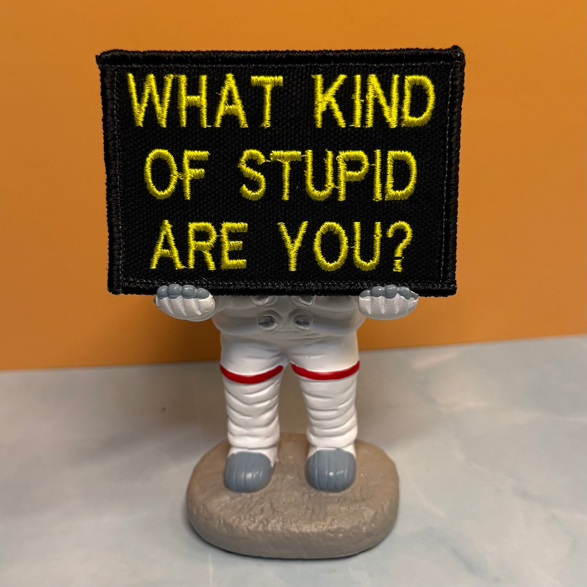 What Kind of Stupid Are You Funny embroidered morale patch, product photograph.