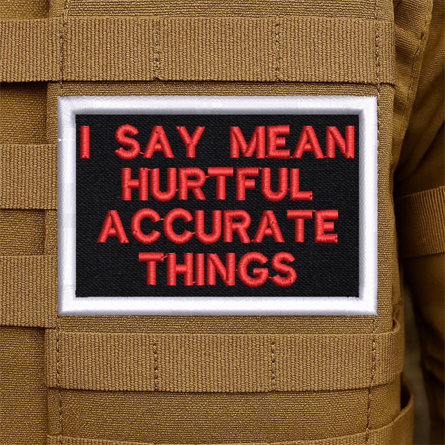 I Say Mean Things Funny Embroidered Morale Patch